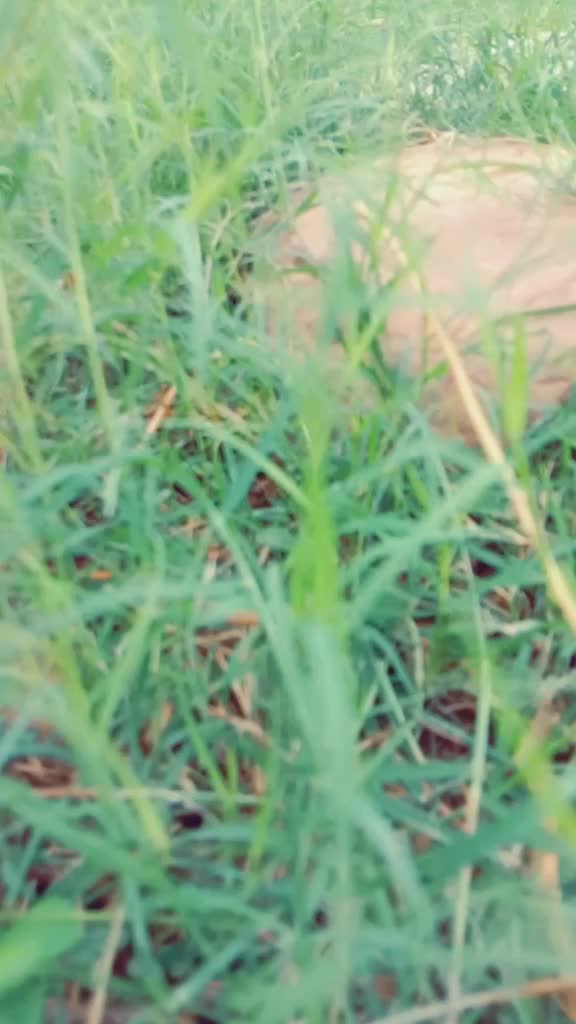 @Sai Kumar Kadidasari