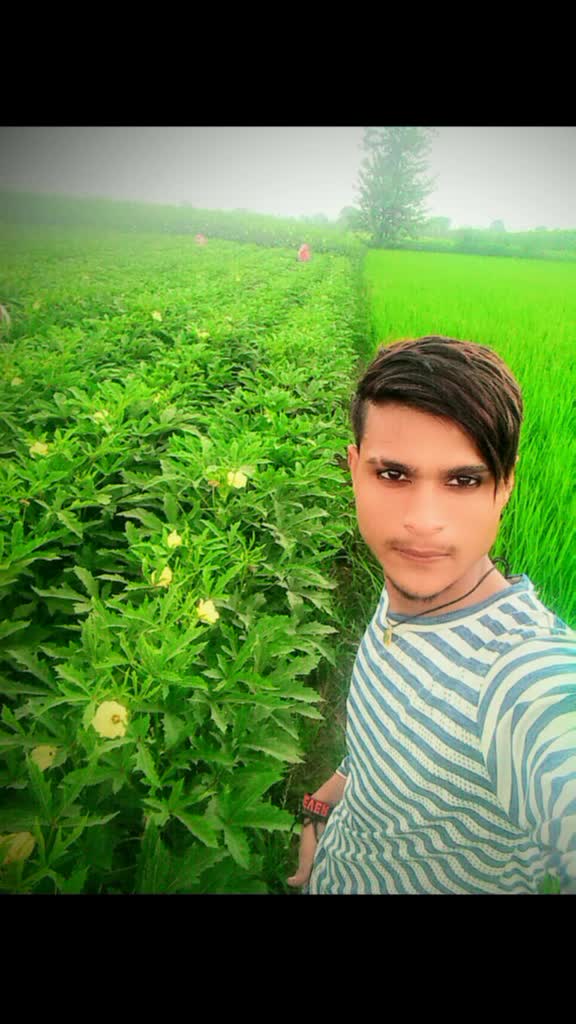 @Sharukh Khan