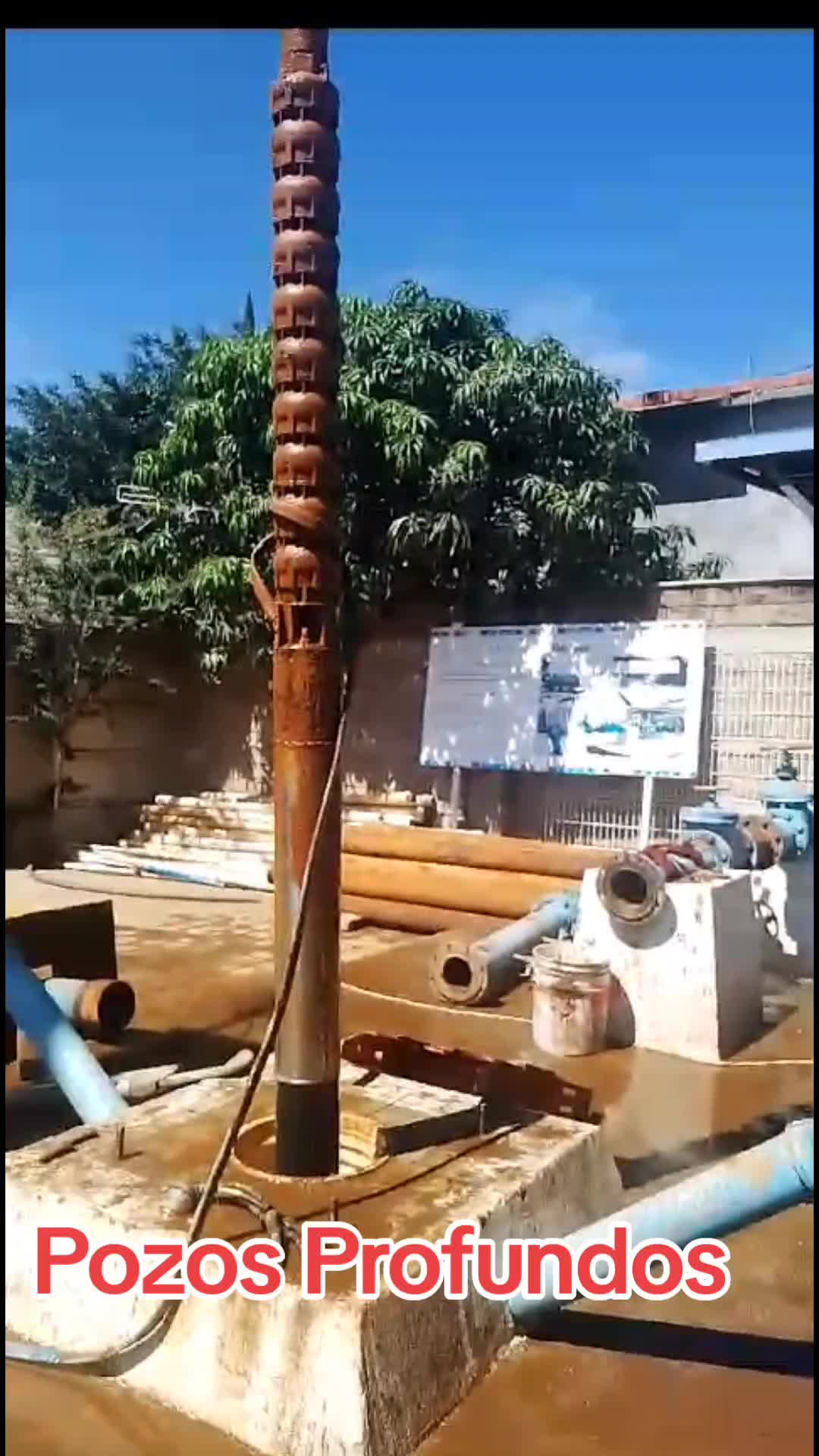 @Salvador Allende