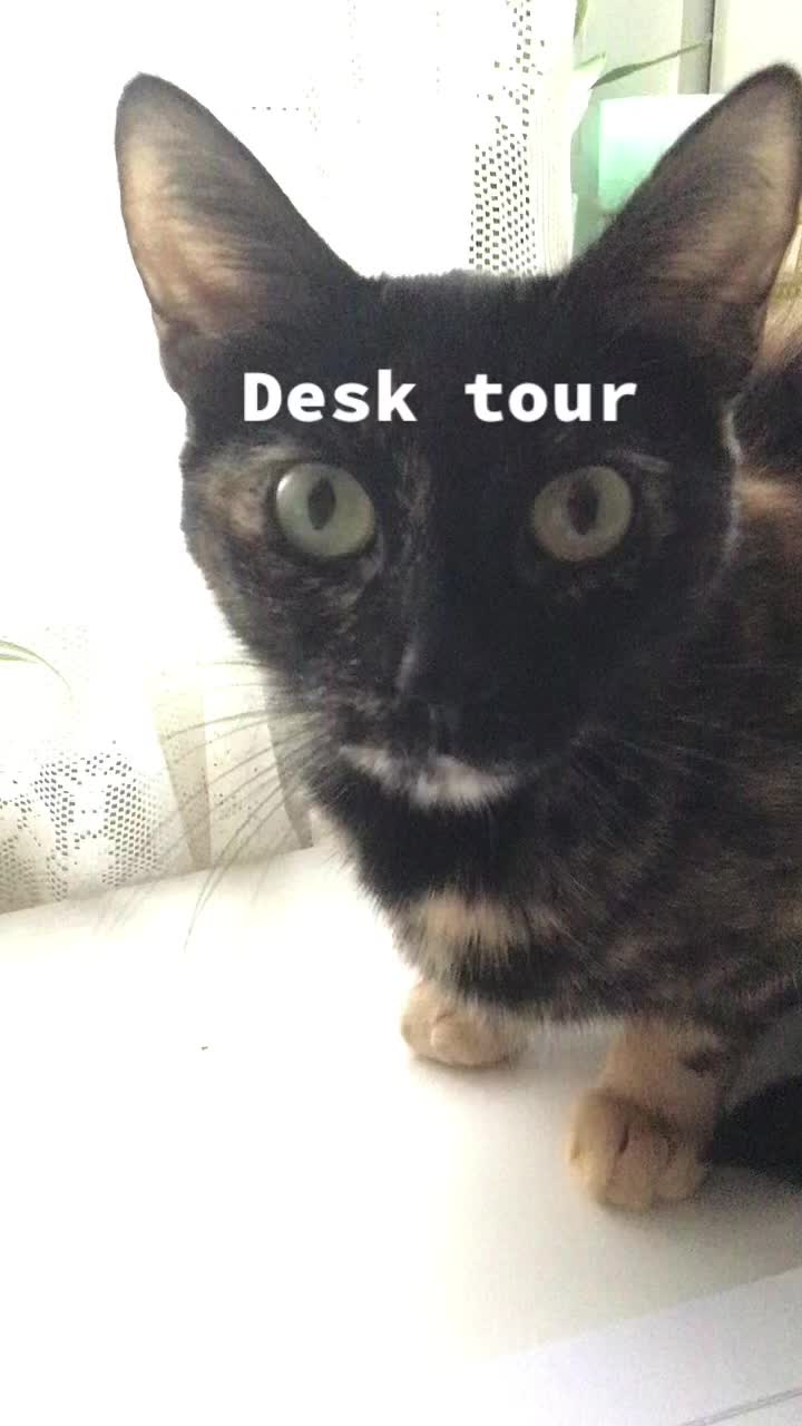 @𝐌𝐢𝐦𝐢<𝟑