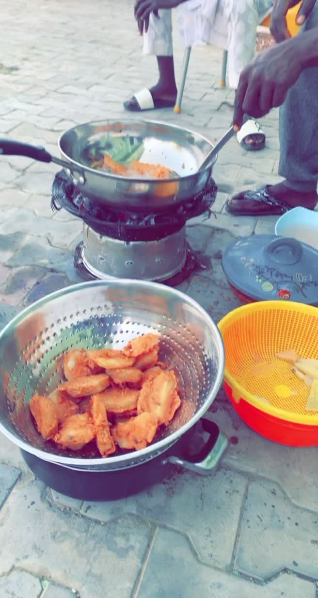 @fatimaahmad36089