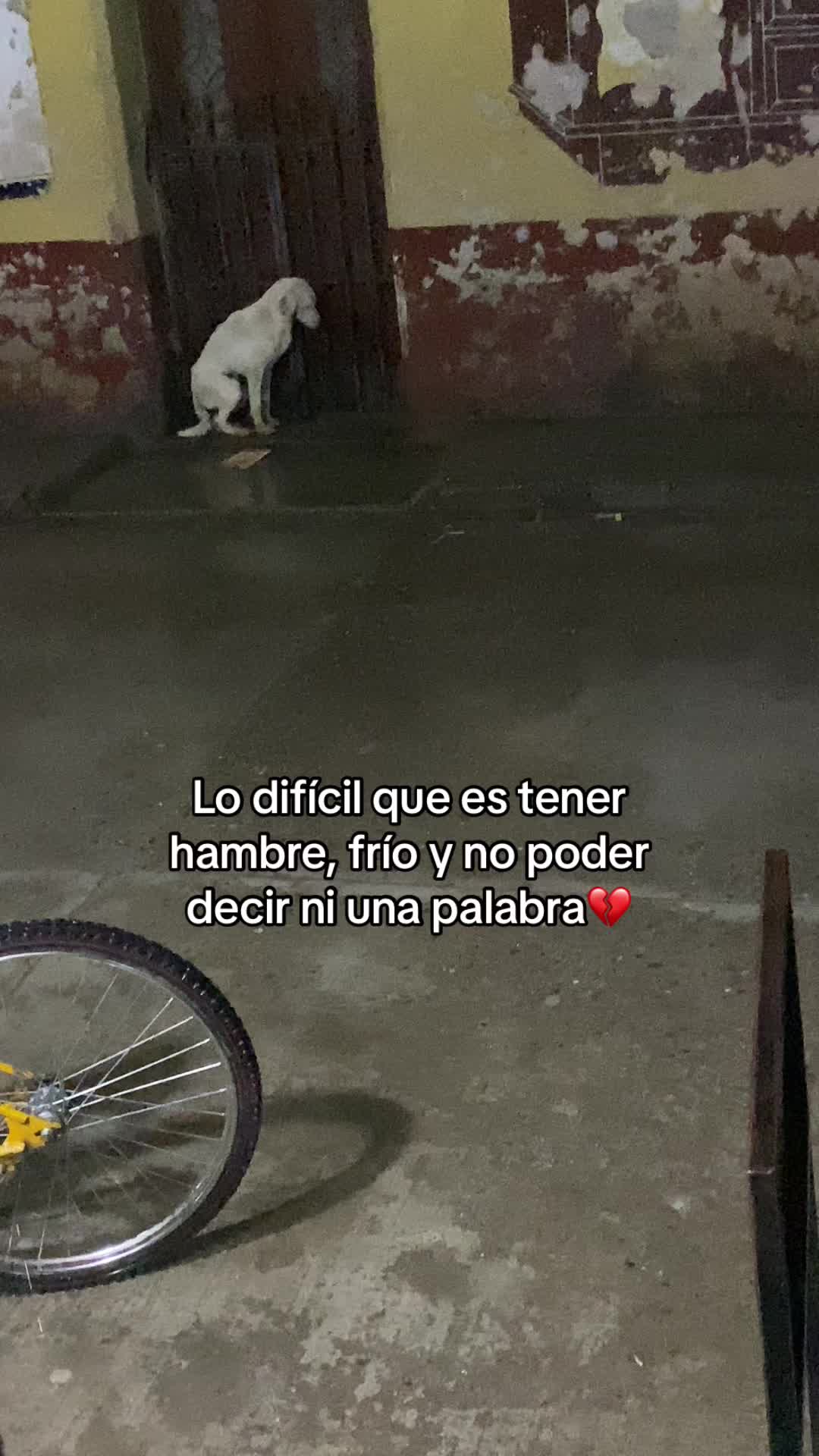 @AR. GERSON 502