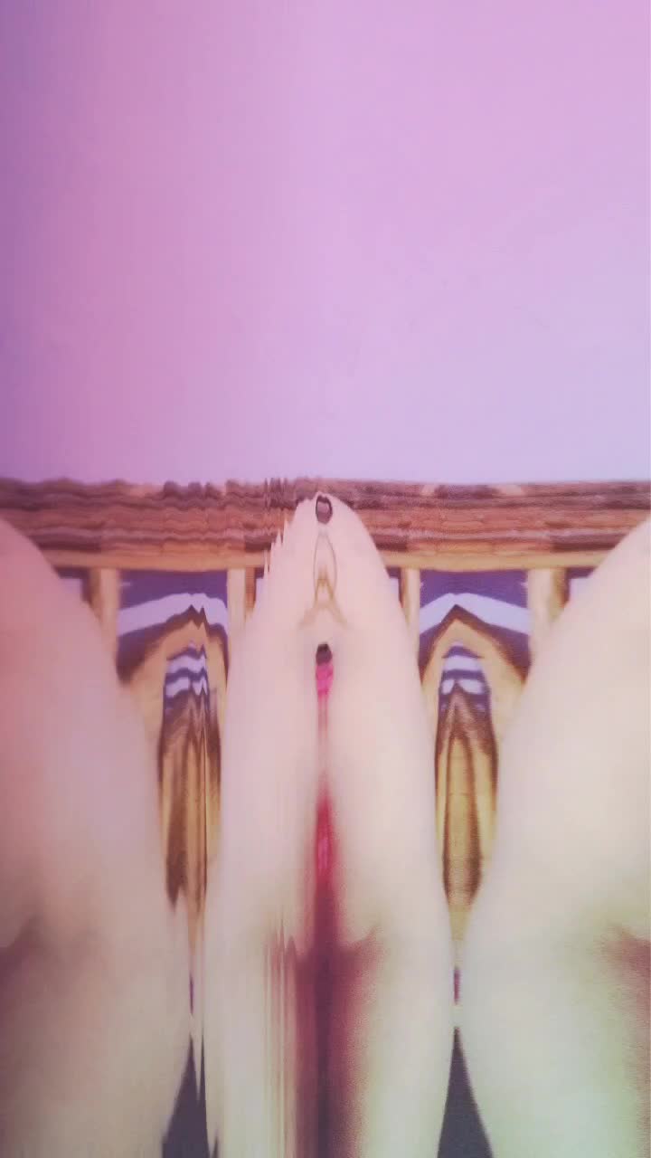 @kavya mahtolia ❤