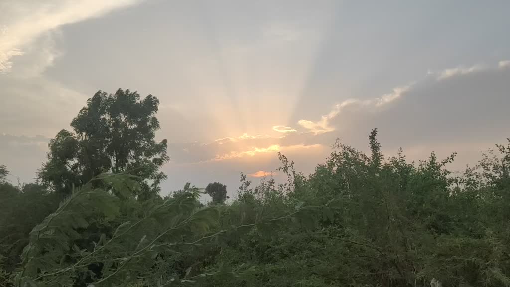 @Krishna Waghela