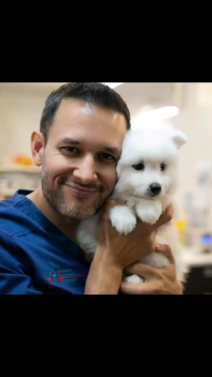@drgeradopoli*66