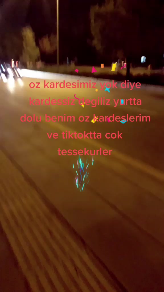@hulya sevinc