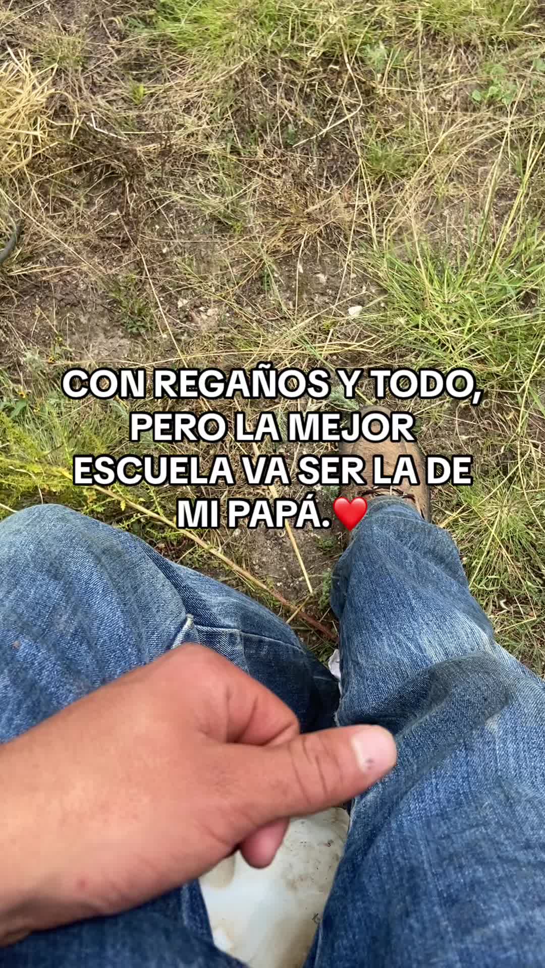 @M.V