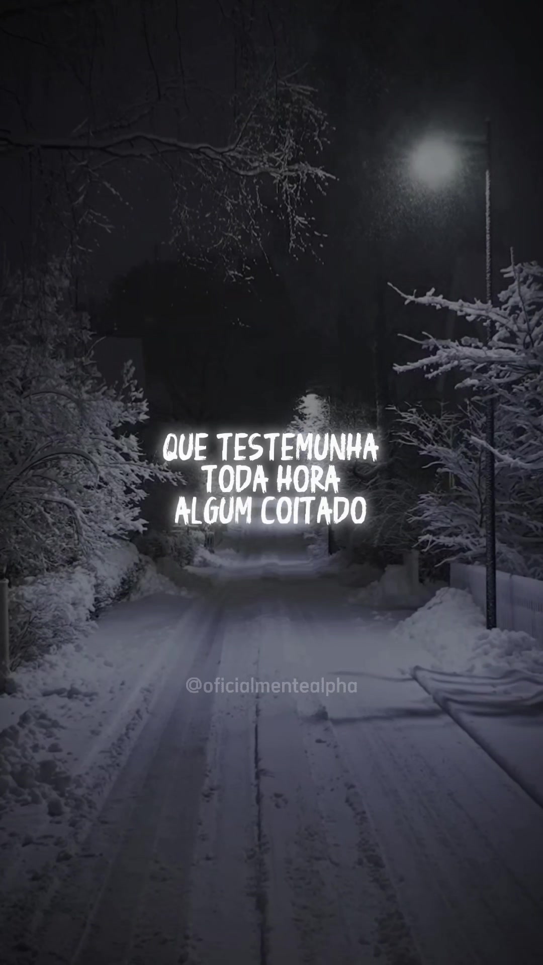 @OFICIALMENTE ALPHA