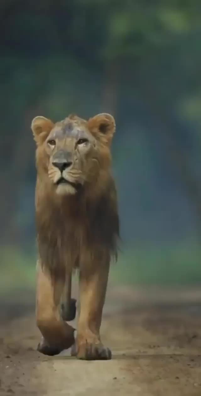 @sampriyan