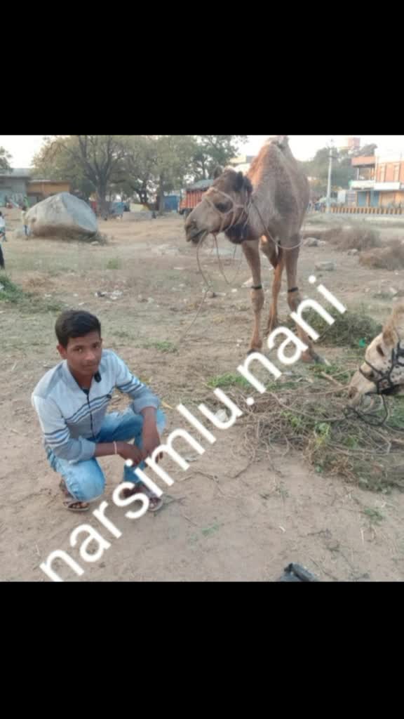@chakali sailu