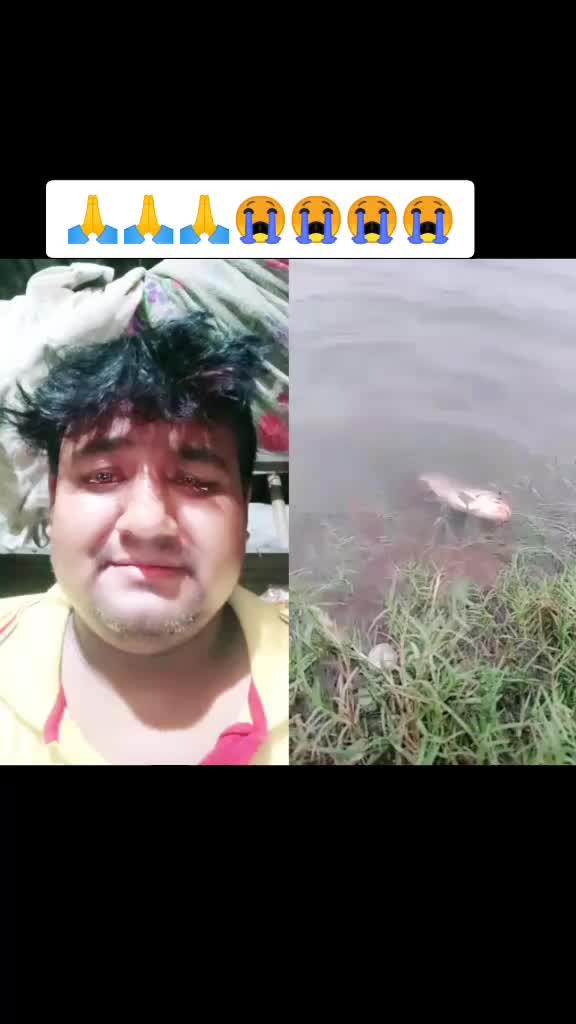 @Id Md