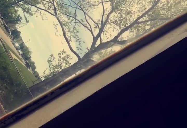 @Aesthetic✨