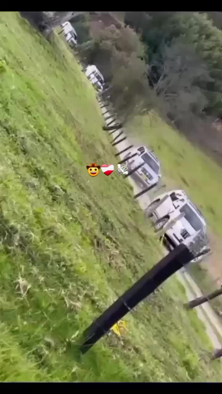 @.🌿