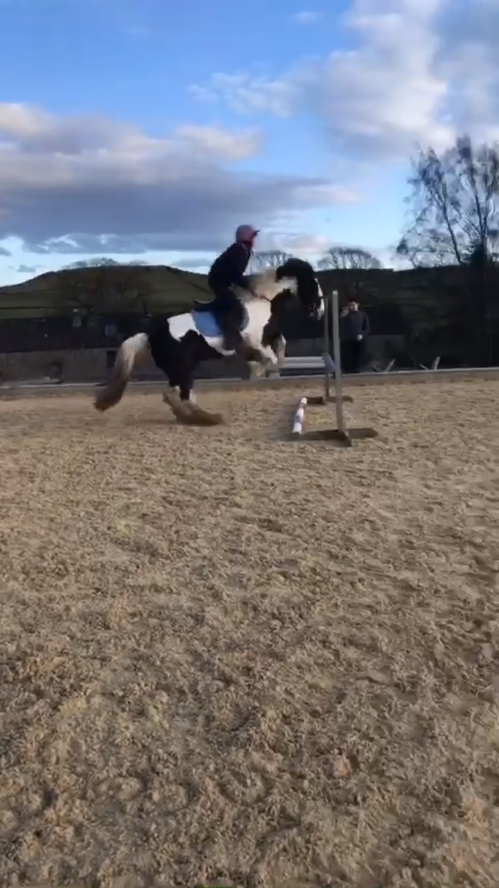 @2.8K