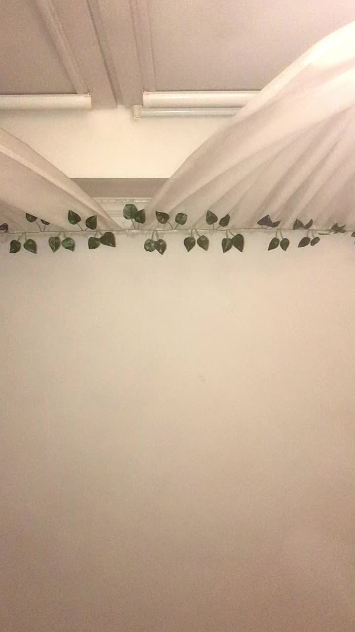 @✨