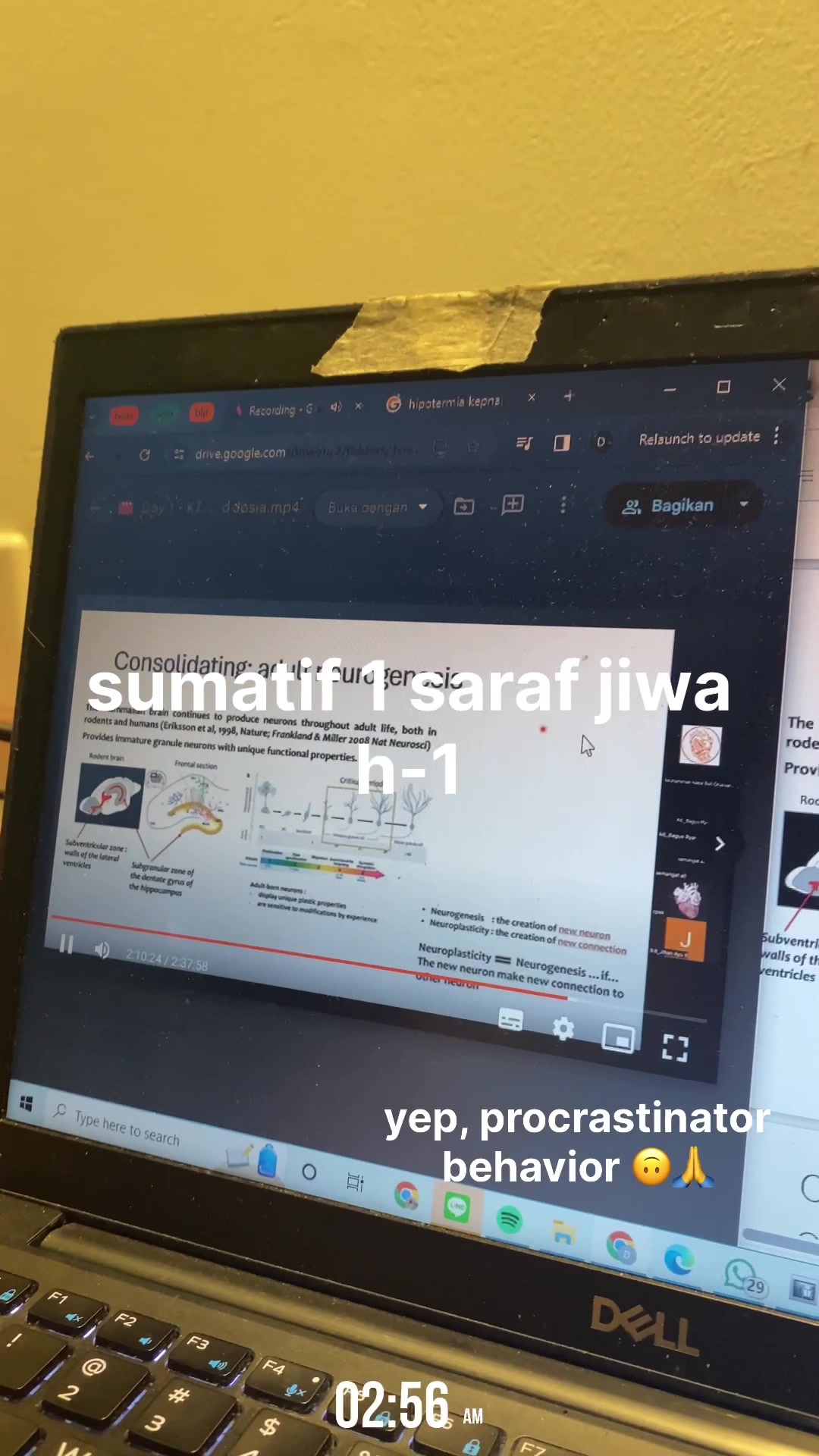 @dev ๐ง๐ปโ๏ธ๐