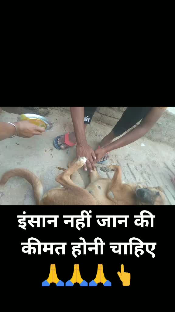 @SARVESHSARVESH603