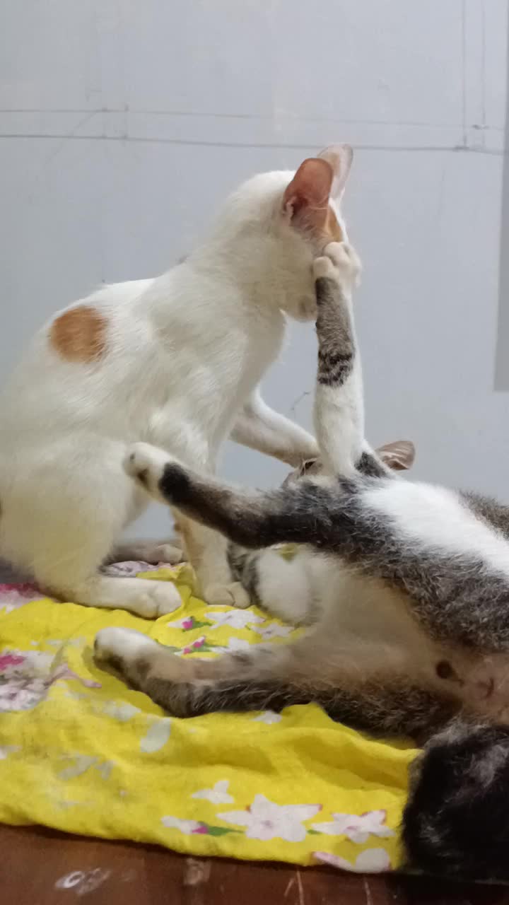 @uuuuuuu