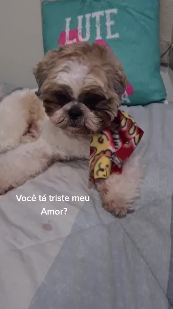 @Mike