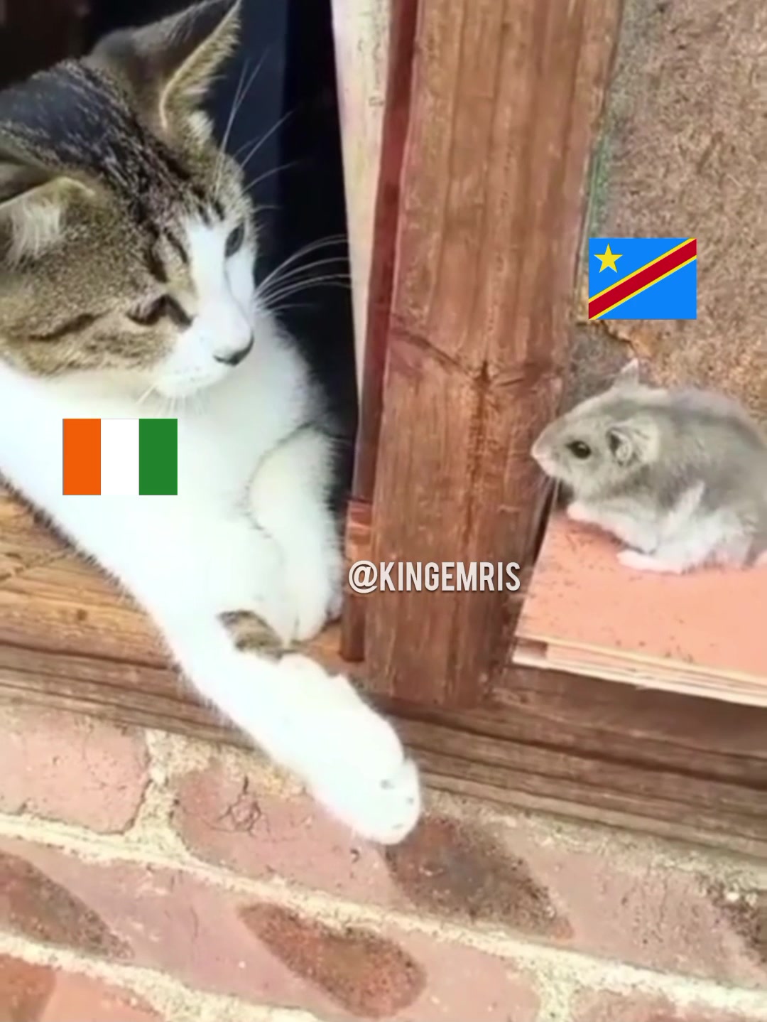 @Glorieux Plus Design-Print