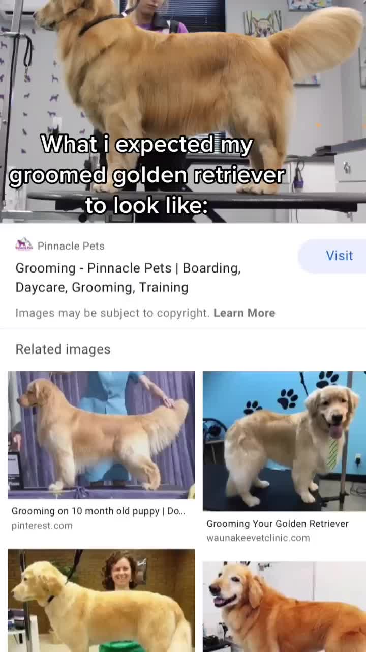 @mal