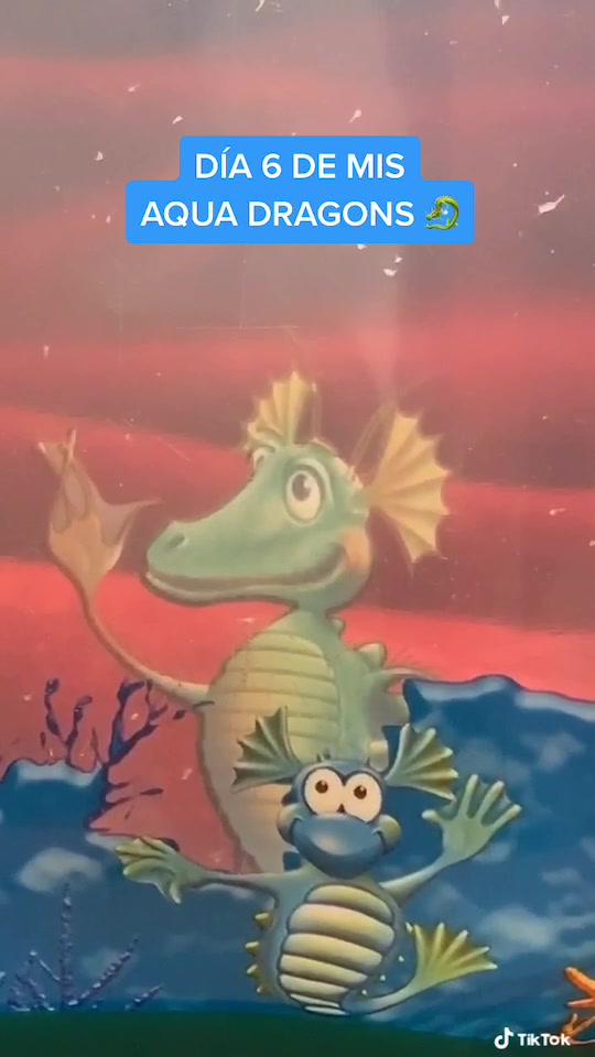 @mini.dragons