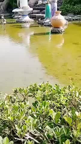 @Biswajit