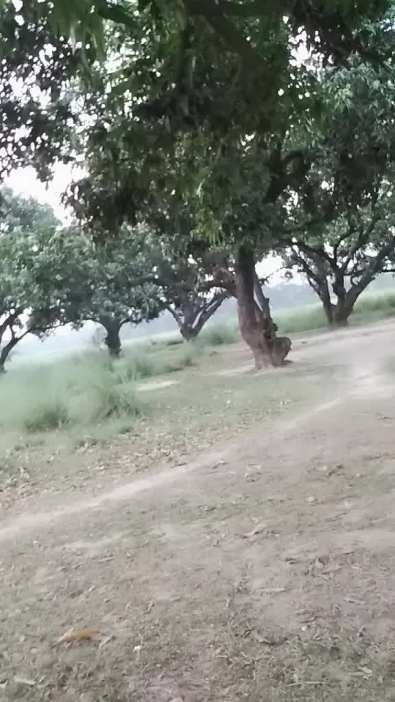@Yogesh yogi ekta bha
