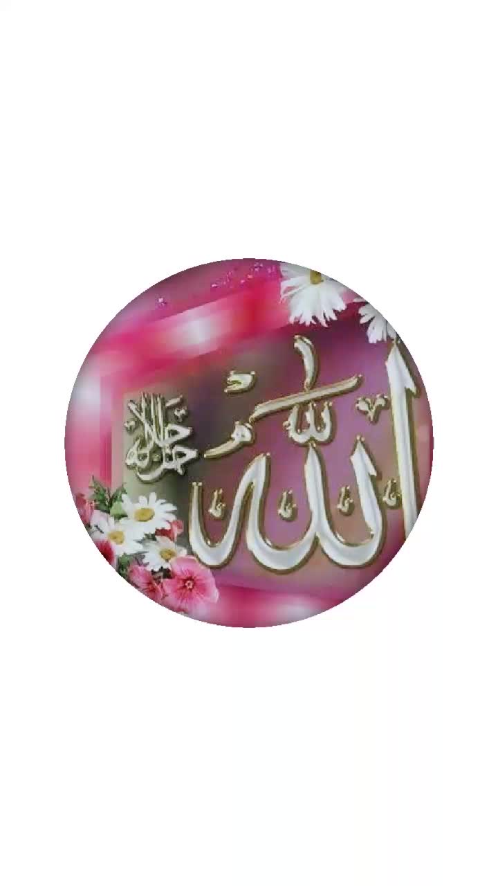 @skatif1137