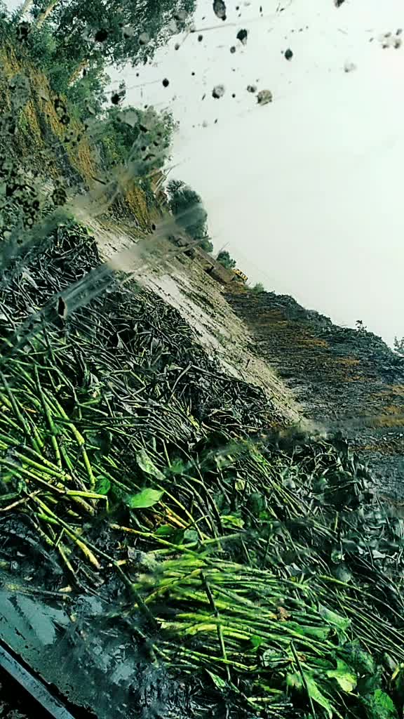@Laddi Thakur