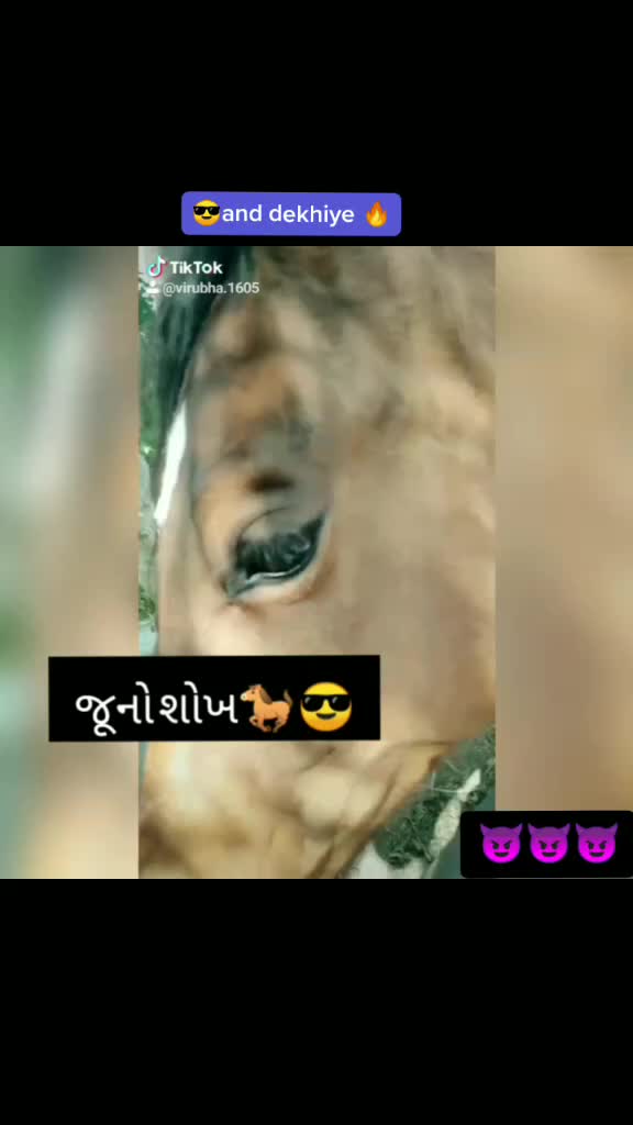 @jadeja virbhadrasinh