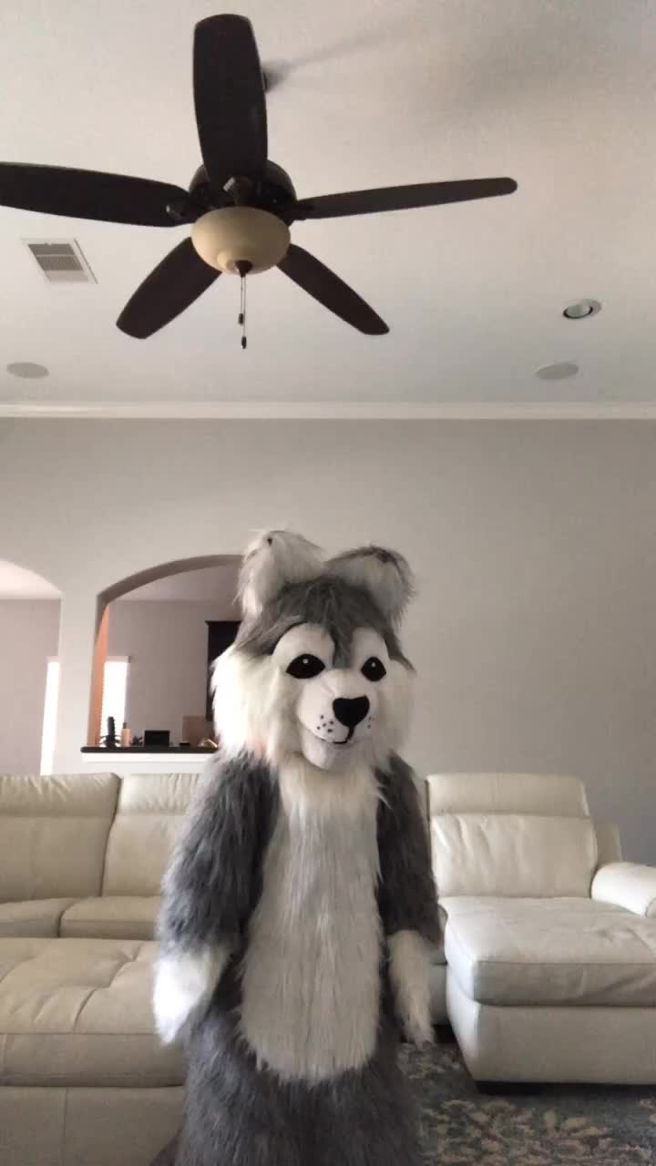 @fursuitwolf111