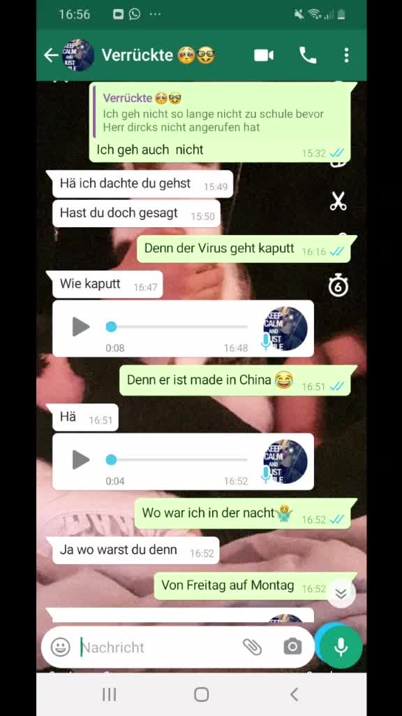 @pferdeedits377373