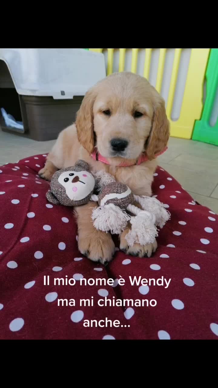 @Wendy ❤️