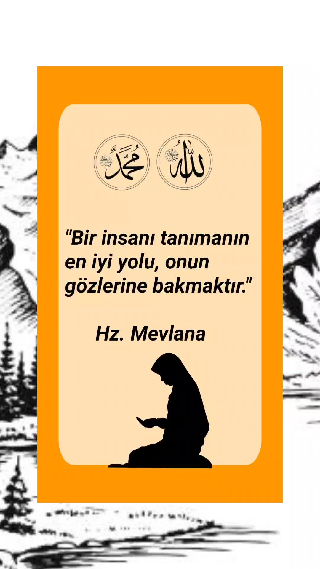 @LAZ UŞAĞI