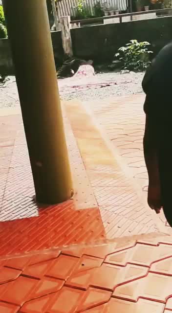 @_Yo_hanZ_24_