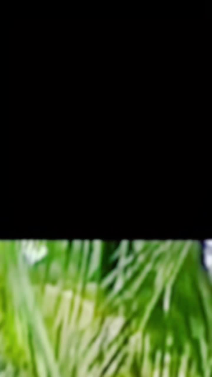@Nguyễn Ngự