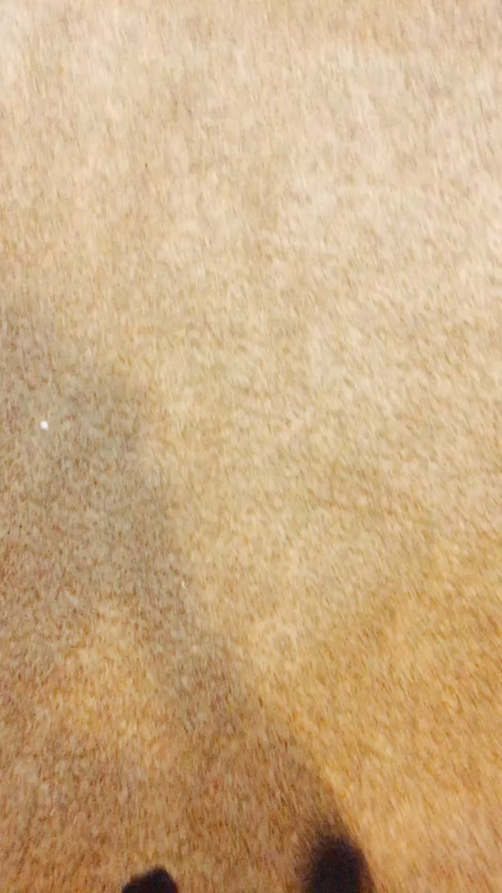 @Datboi 69