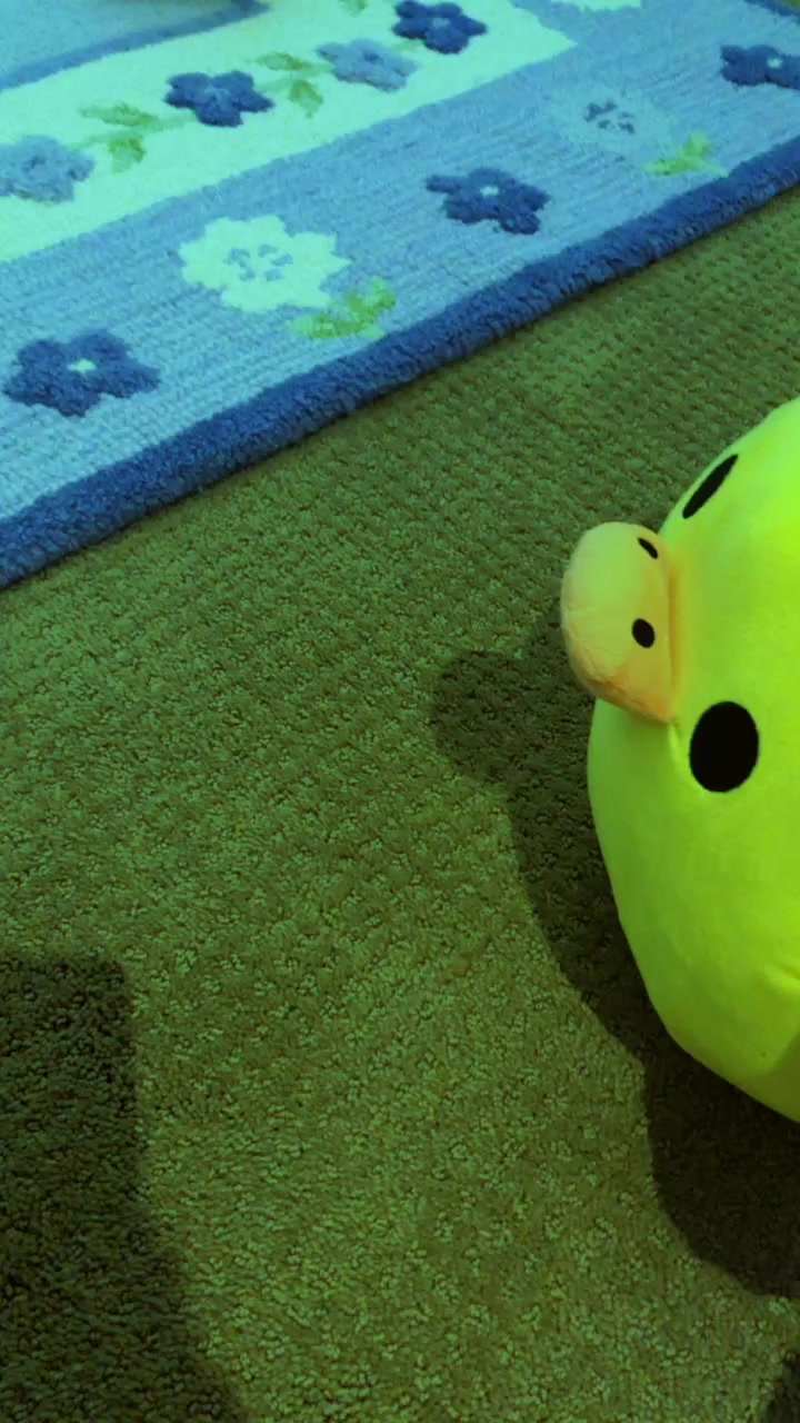 @Duck