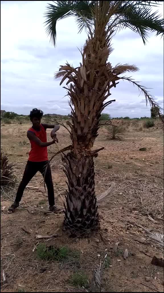 @anke Raju