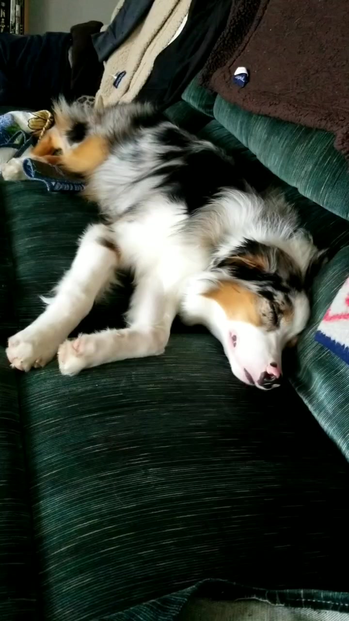 @Jett The Aussie