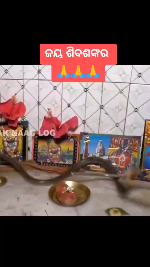 @Biswonatha behera