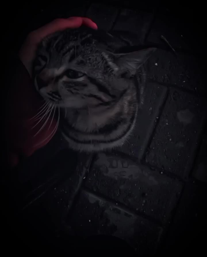 @ع