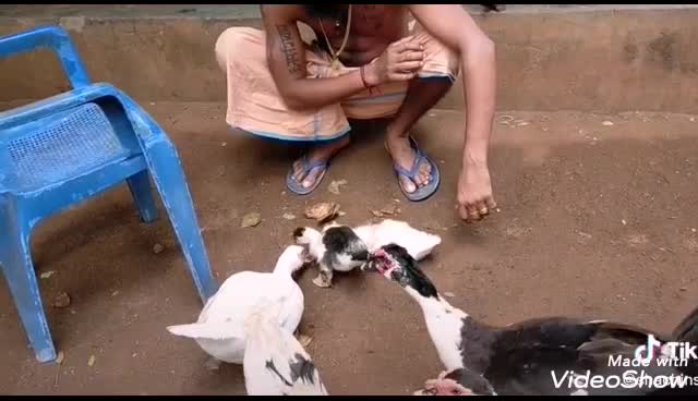 @കൊമ്പൻ