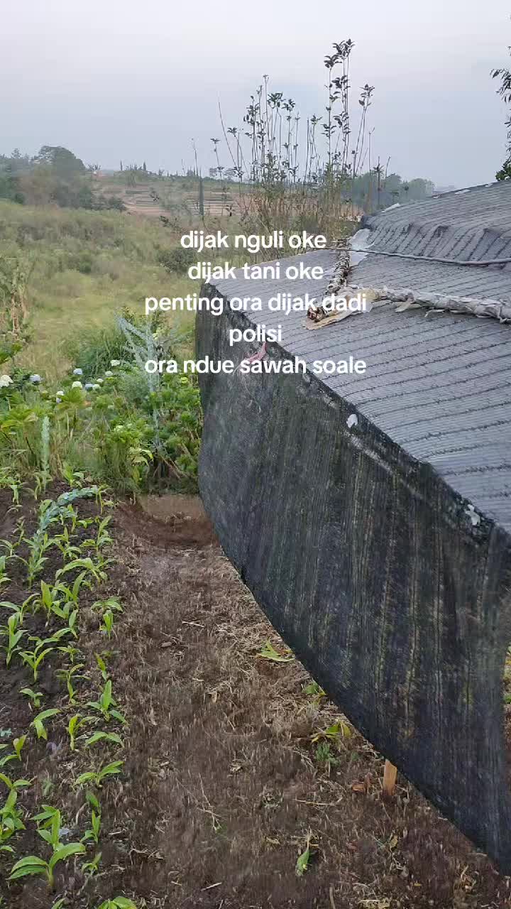 @re_sipid