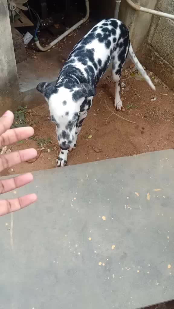 @Jeen_kanmani