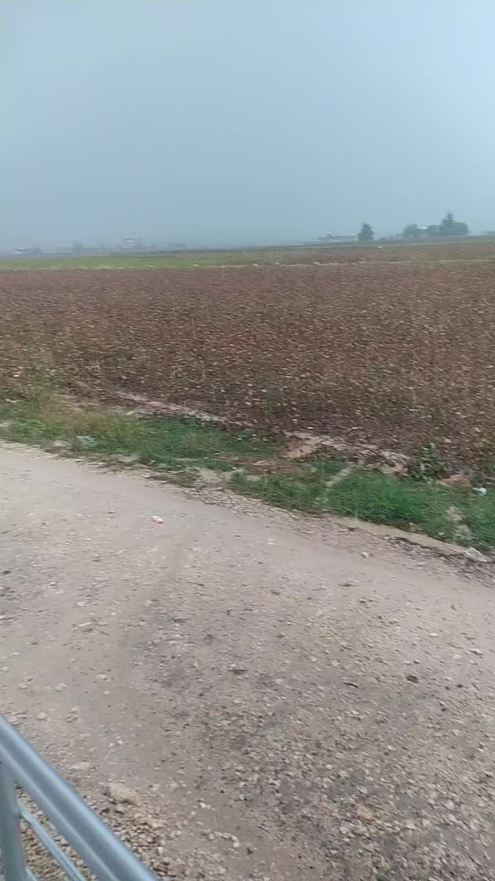 @SALİH NAİMOĞLU