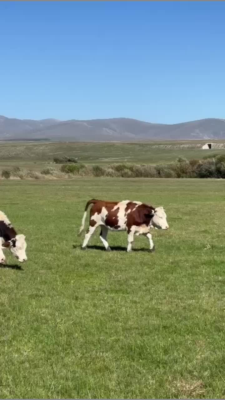 @Gökhan Çoban