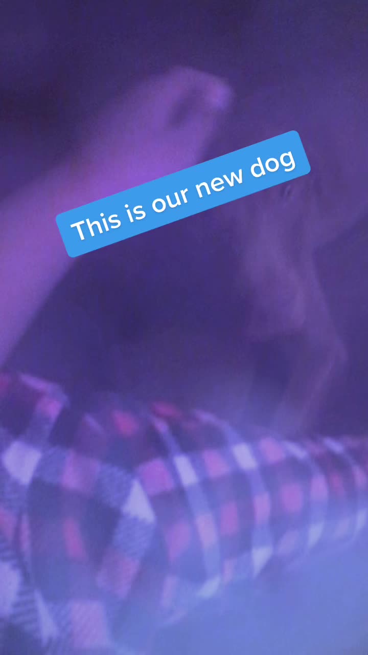 @Dezzie