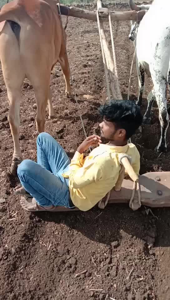@Amolphad
